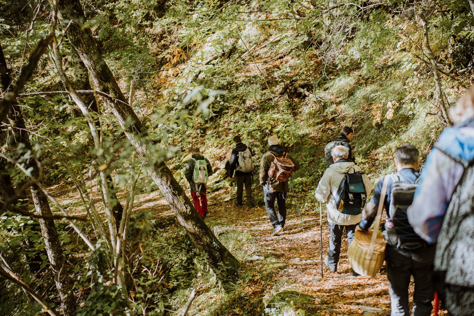 Successo per la prima Passeggiata Patrimoniale a Monteacuto delle Alpi