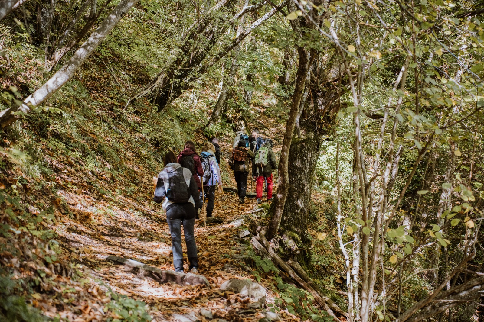 Passeggiata 4