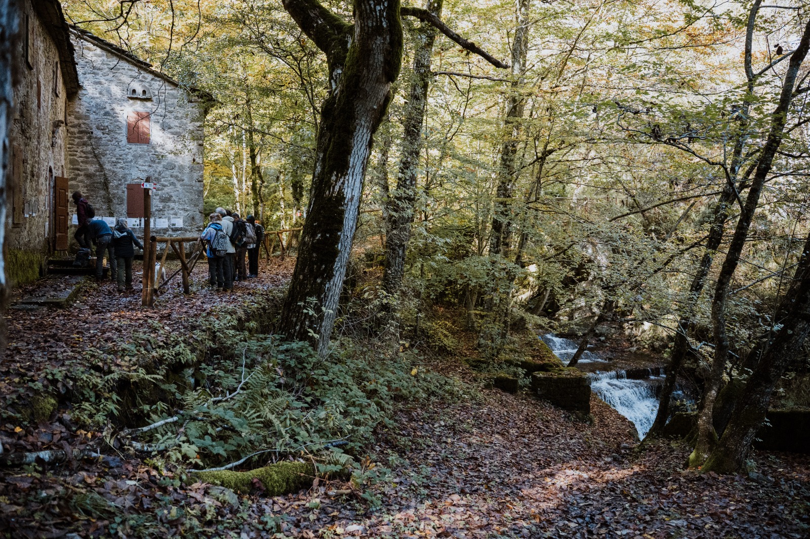 Passeggiata 5